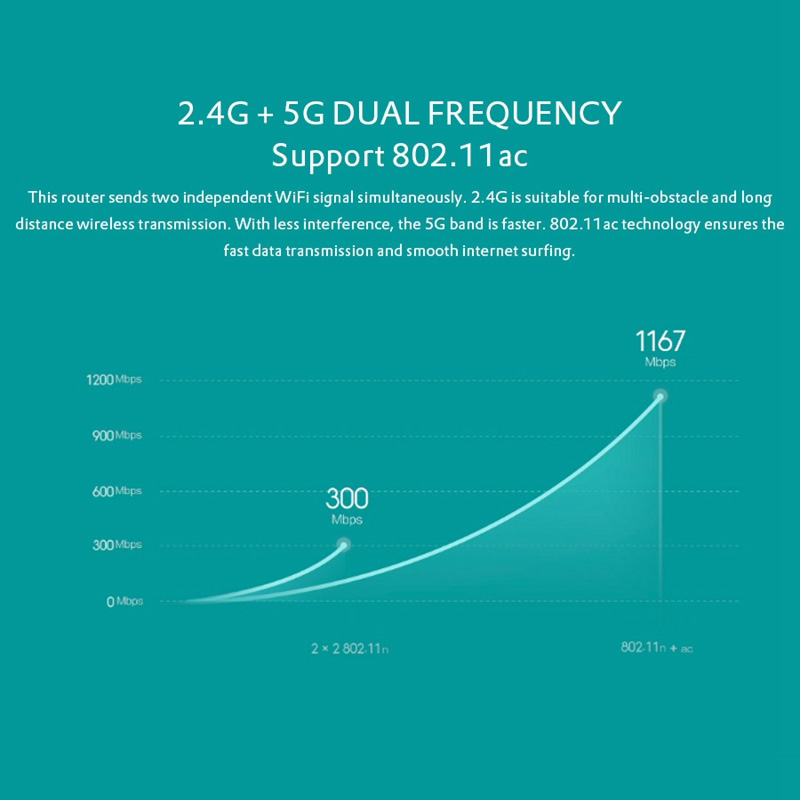 WR0013W_9-1-1-1-4.jpg
